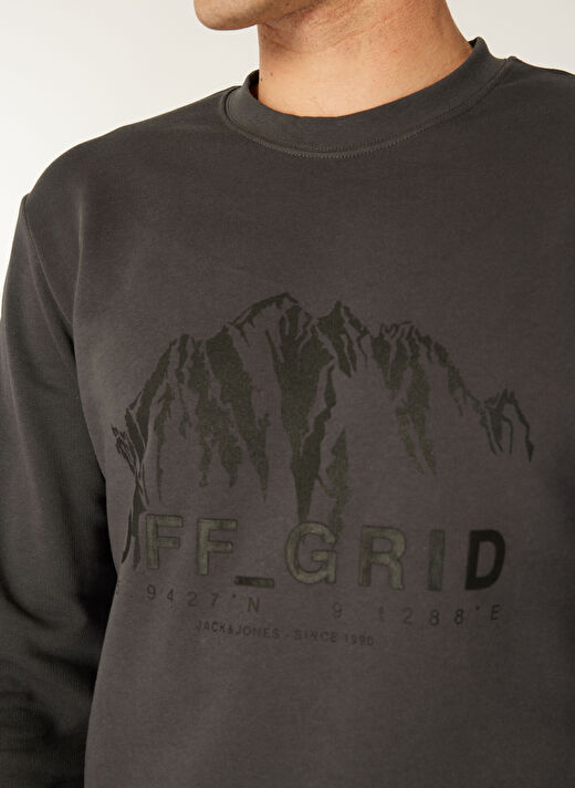 Jack & Jones Gri Erkek Bisiklet Regular Fit Sweatshirt 12275173_JCOPOINT SWEAT CREW NECK  4