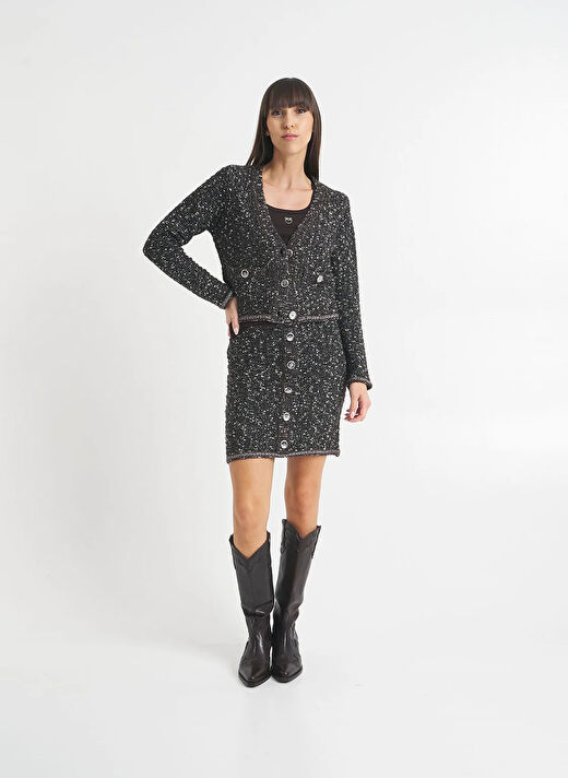 Pinko Siyah Kadın Standart Düz Ceket 103963-A21R/ZM7  2