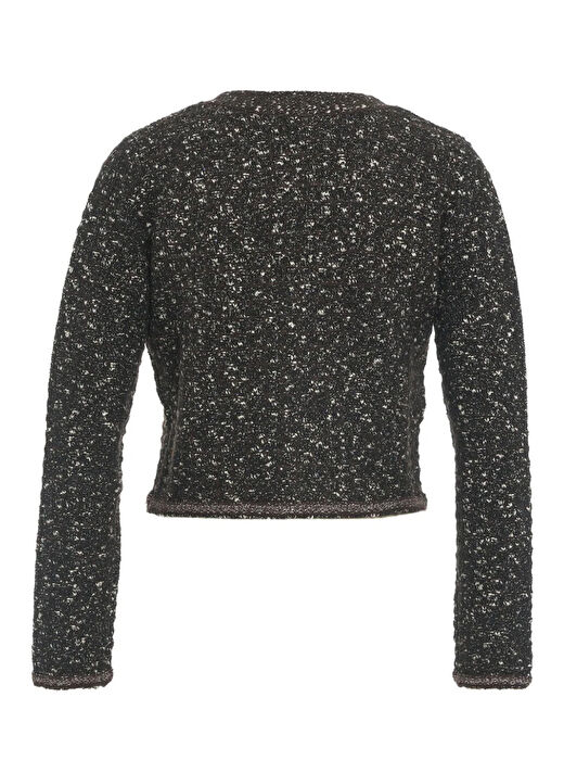 Pinko Siyah Kadın Standart Düz Ceket 103963-A21R/ZM7  4