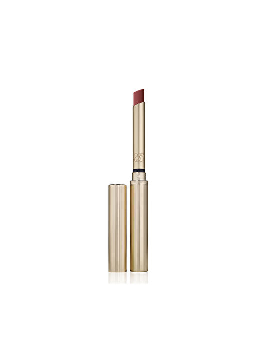 Pure Color Explicit Silk Matte Lipstick - Wrong Place Right Time 1