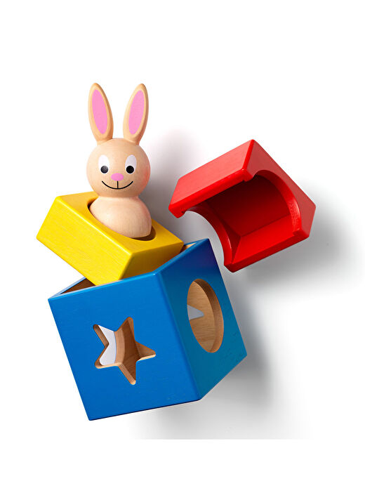 Bunny Boo 4