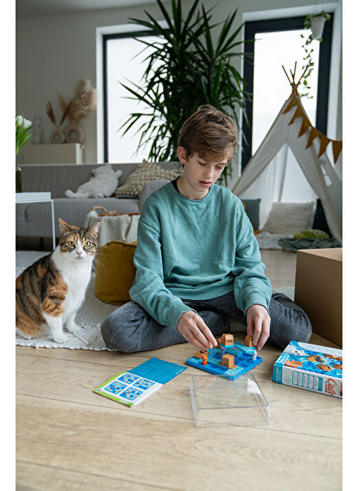 Cats & Boxes 4