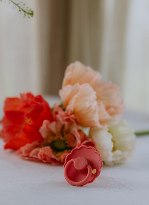 FRIGG Daisy Silikon Emzik - Poppy 0-6 Ay 3