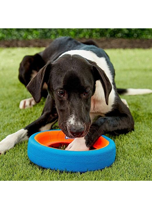 Chuckit! Fetch Wheel Oyun Halkası (Küçük Boy) 3