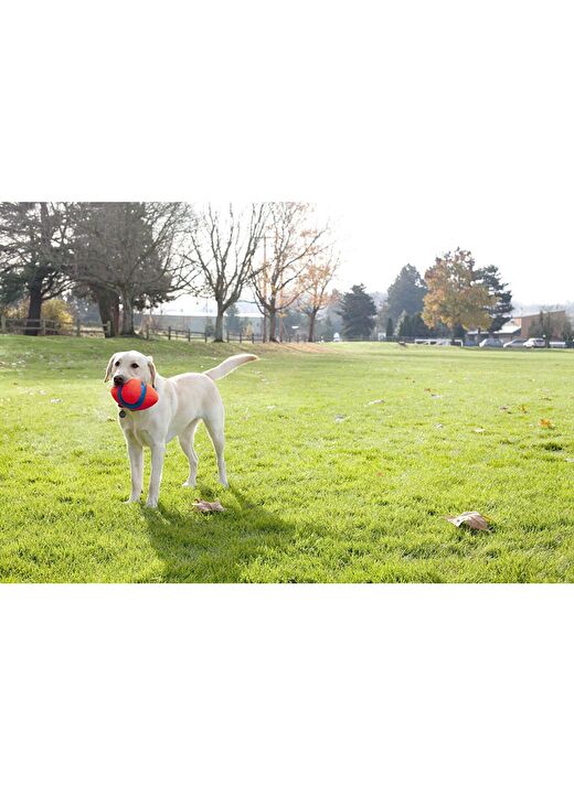 Chuckit! Fumble Fetch Köpek Oyun Topu 3