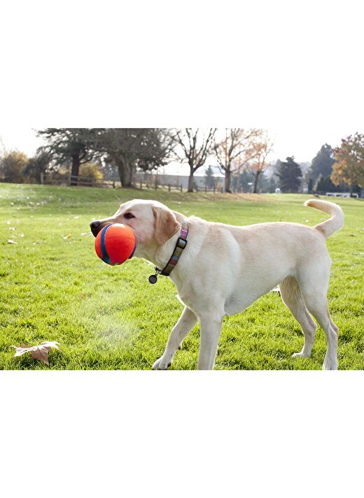 Chuckit! Fumble Fetch Köpek Oyun Topu 4