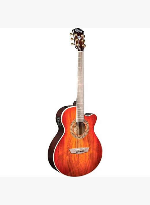 Washburn EA55G Festival Elektro Akustik Gitar 1
