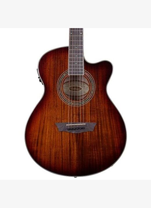 Washburn EA55G Festival Elektro Akustik Gitar 2