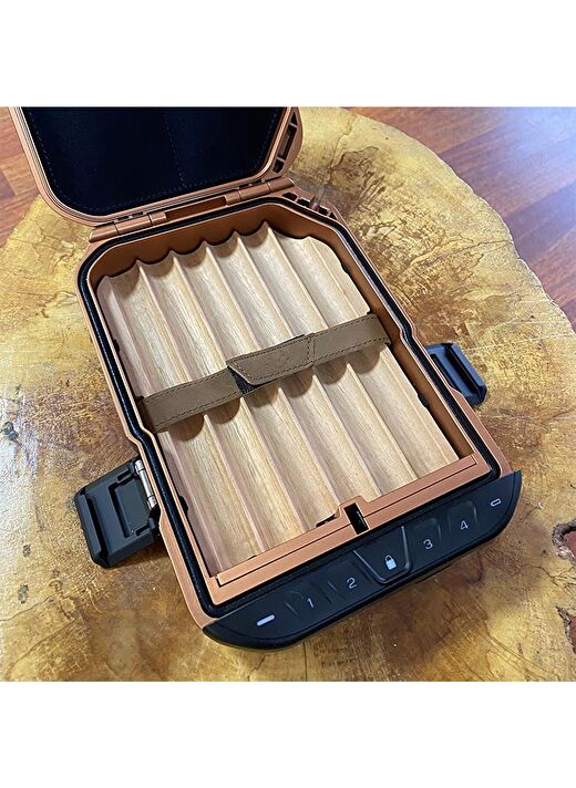 Vaultek Lifepod Seyahat Humidoru Antik Brass 3