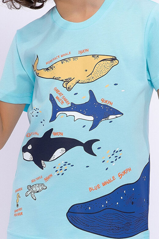 Rolypoly Blue Whale Turkuaz Erkek Çocuk Kapri Takım 4