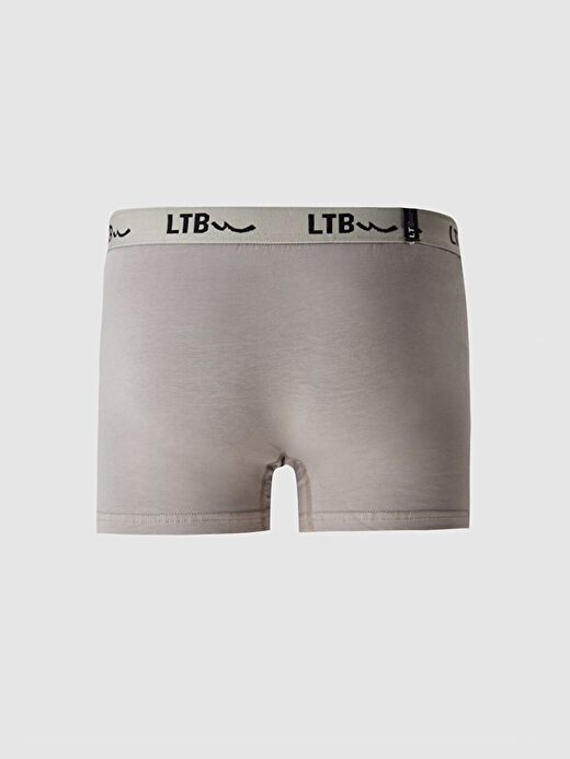 Gri Boxer 2