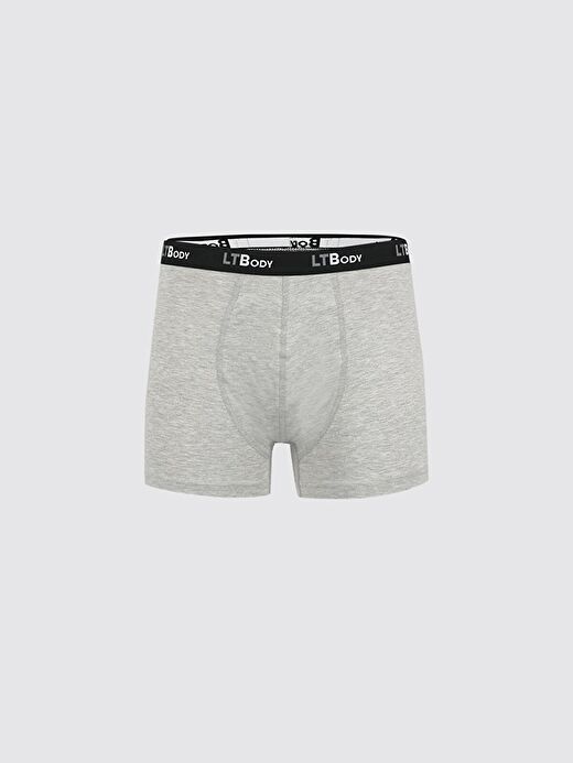 Gri Boxer 1