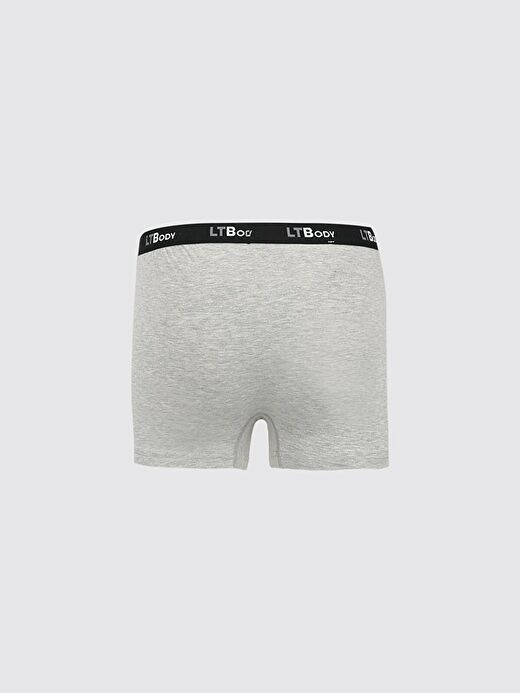 Gri Boxer 3