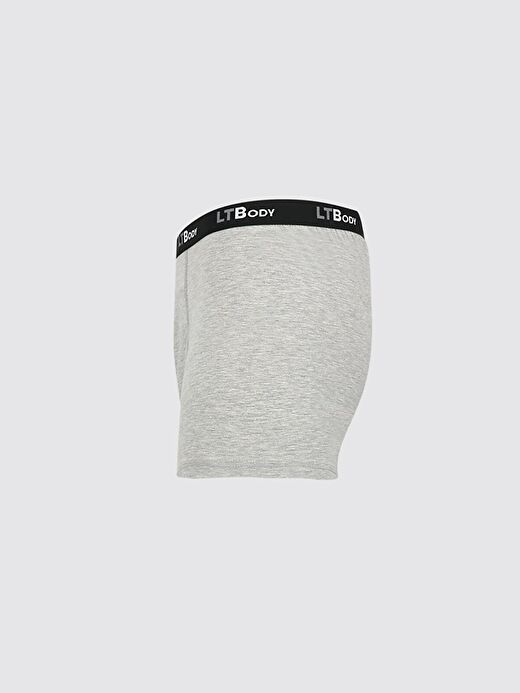 Gri Boxer 2