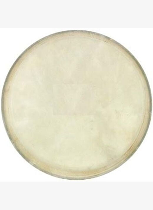 Cox Bongo Derisi (6\") DER-B-6 1