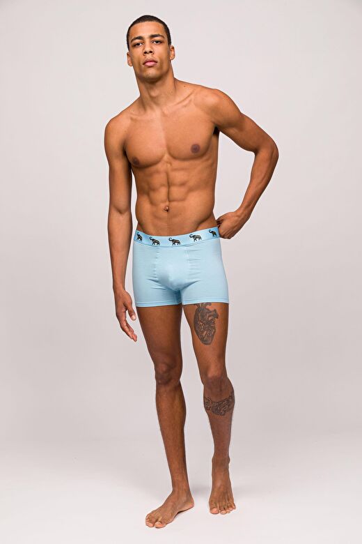 Animal Erkek Boxer 3 Adet 4
