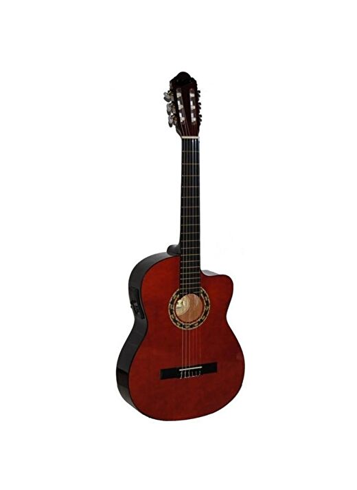 CARİSSA  CG-160CE NAT ELEKTRO KLASİK GİTAR 1