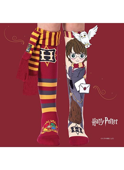Madmia Harry Potter Çorap  2