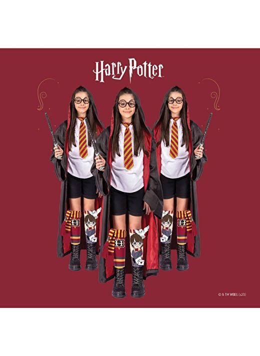 Madmia Harry Potter Çorap  4