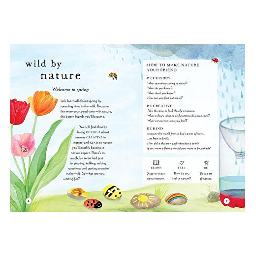 A Field Guide To Spring 3