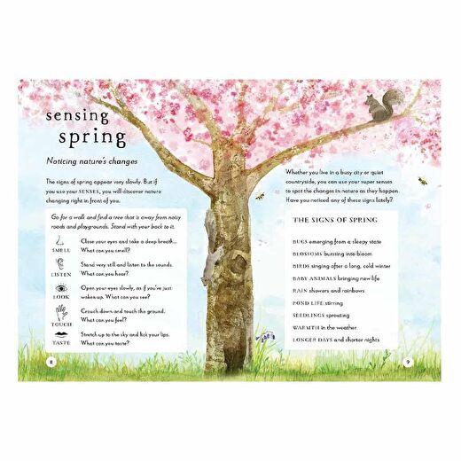 A Field Guide To Spring 4