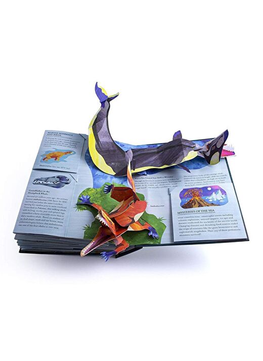 Encyclopedia Prehistorica Sharks and Other Sea Mon 2