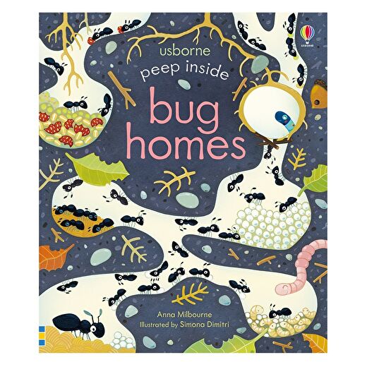 Peep Inside Bug Homes 1
