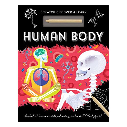 Human Body - Scratch, Discover And Learn 1