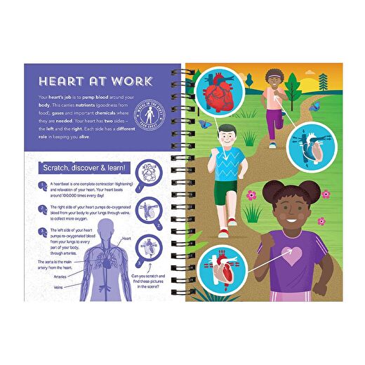 Human Body - Scratch, Discover And Learn 2