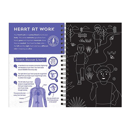 Human Body - Scratch, Discover And Learn 3
