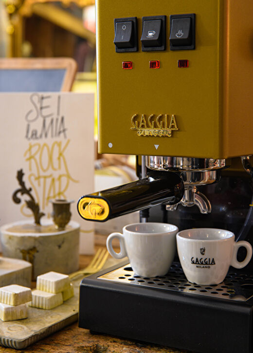 Gaggia New Classic Evo Gold Manuel Espresso Makinesi 2