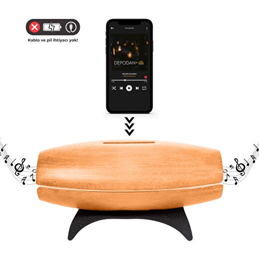 Tone Koyu Ceviz Akustik Gramofon 2