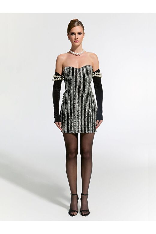 Schloss Mini Dress 1
