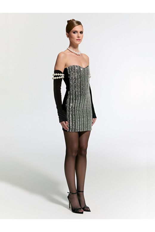 Schloss Mini Dress 2