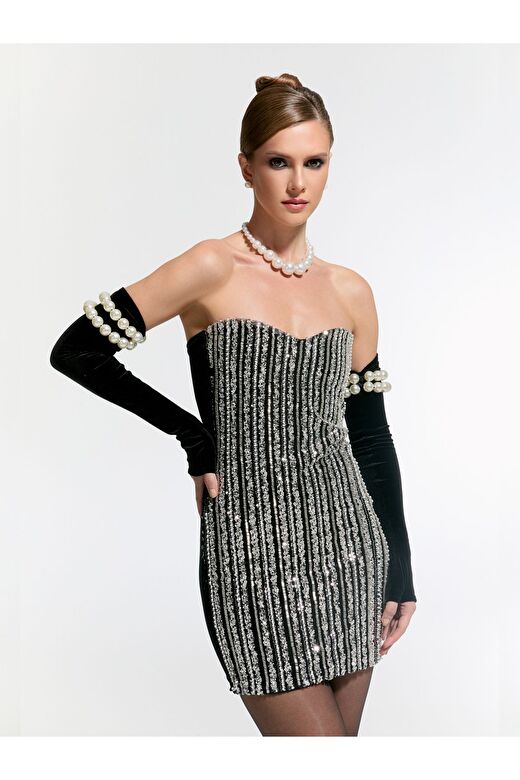 Schloss Mini Dress 4