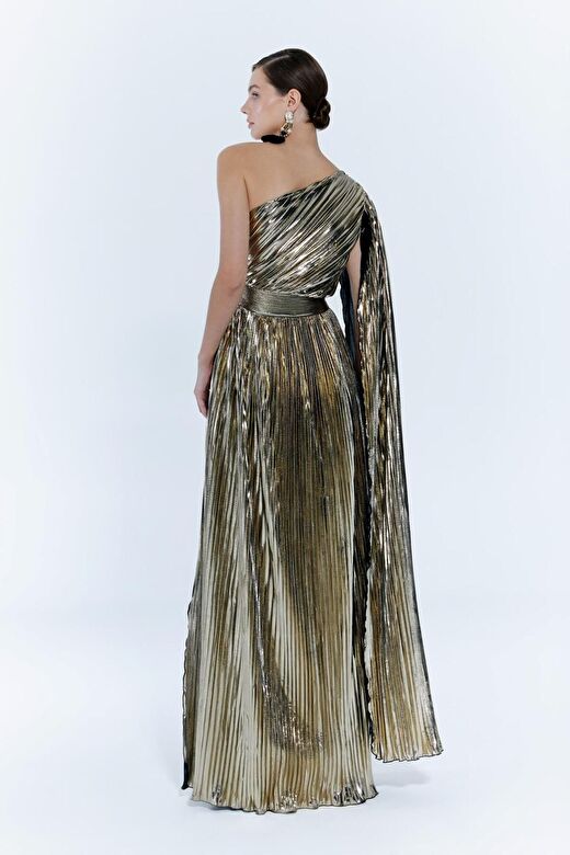 Baglioni Gown Elbise 3