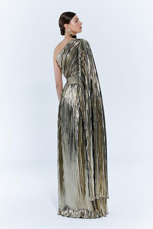 Baglioni Gown Elbise 4