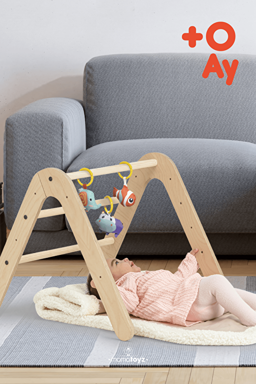 Gimy Baby GYM ve Bookshlef - Aktivite Alanı ve Kitaplık 2