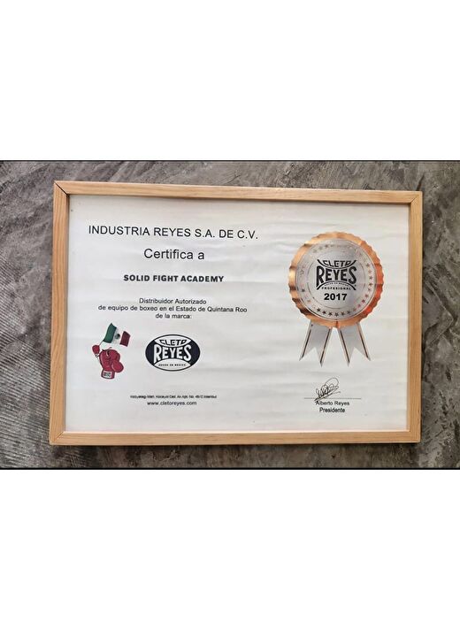 Cleto Reyes Bronze Hero Double Loop Boks Eldiveni Bronz 3