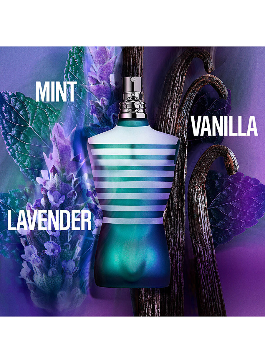 香水(男性用) Jean Paul Gaultier Le male le parfum 125 Jean Paul