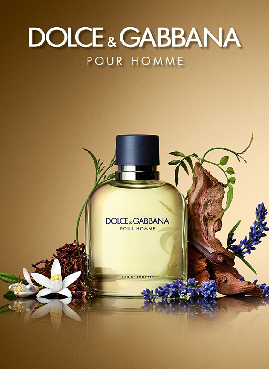Dolce&Gabbana Pour Homme Edt 125 Ml Erkek Parfüm - 428740 | Boyner