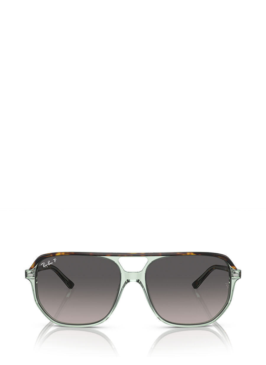 Ray-Ban Bill One RB2205 Oval Kahve Unisex Polarize Güneş Gözlüğü