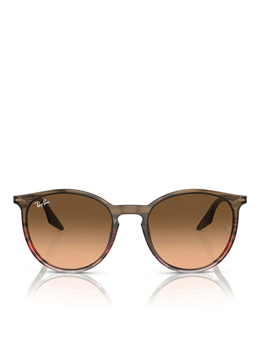 Ray-Ban RB2204 Yuvarlatılmış Kare Kahve Unisex Güneş Gözlüğü