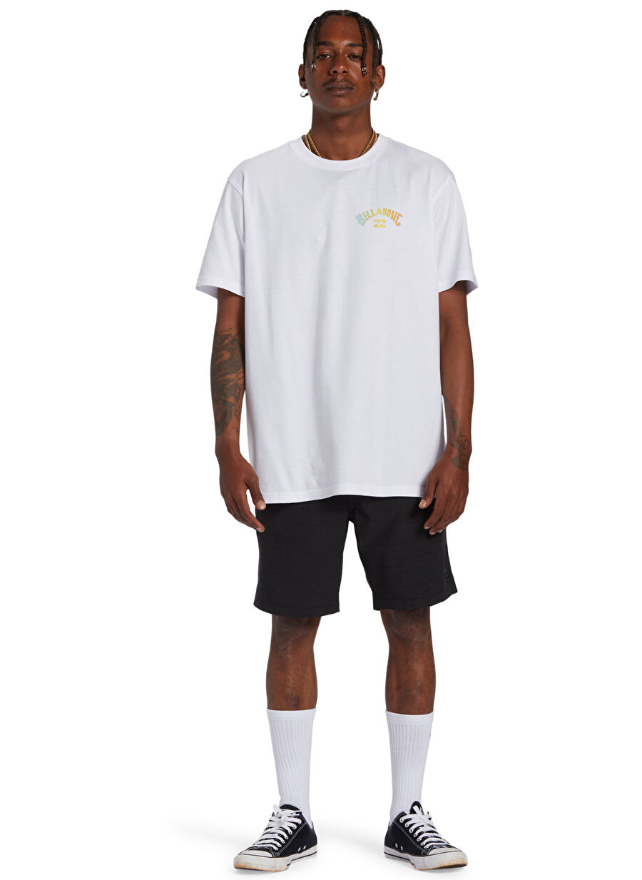 Billabong ABYZT02256_ARCH FILL  TEES Beyaz Regular Fit Desenli Erkek T-Shirt