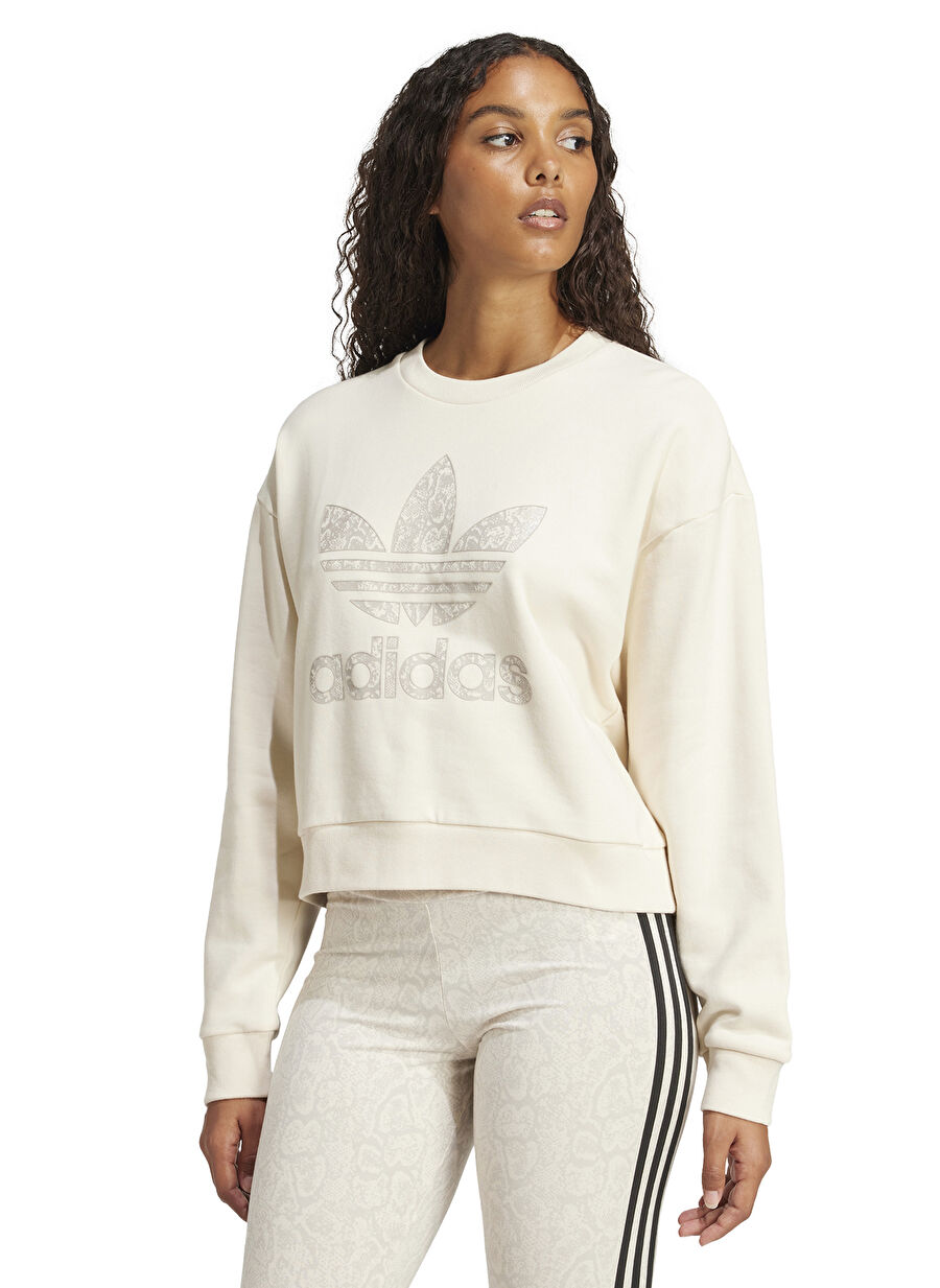 5003242480_271_01.jpg?v=1737130898