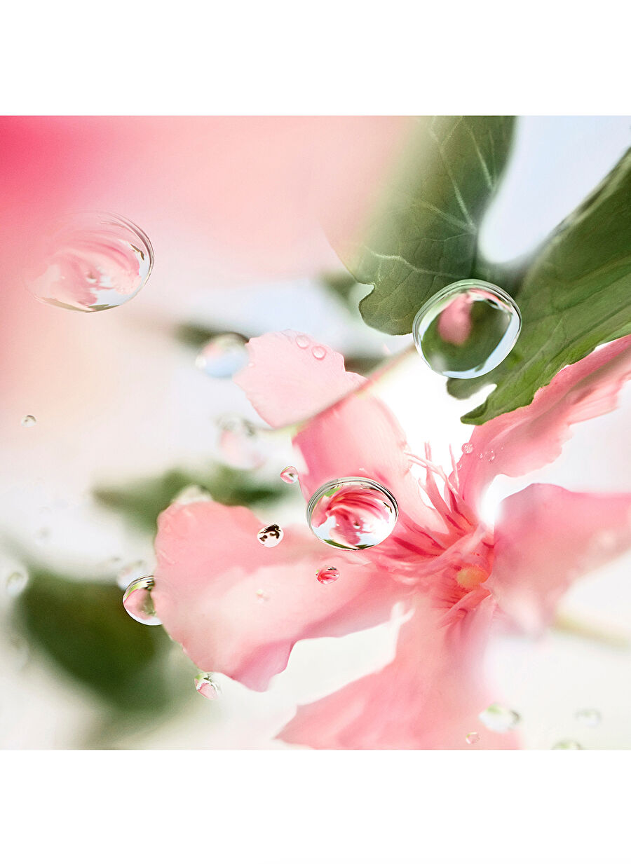 Les Ô Over The Top Edt 100Ml - 15569398 | Boyner