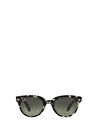 Ray-Ban Orion RB2199 Kare Kahve Unisex Güneş Gözlüğü