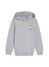 Puma Baskılı Erkek Gri Sweatshırt 62482663-PUMA X TROLLS Hoodie